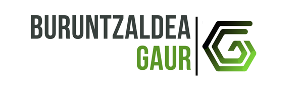 Buruntzaldea Gaur